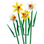 Daffodils