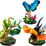 The Insect Collection