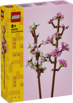 Cherry Blossoms - Image 2