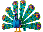 Exotic Peacock