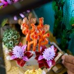 Tropical Aquarium - Image 9