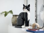 Tuxedo Cat - Image 10