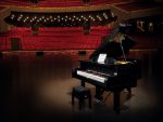 Grand Piano - Image 19