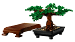 Bonsai Tree - Image 7