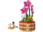 Moana's Flowerpot