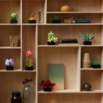 Succulents - Image 10