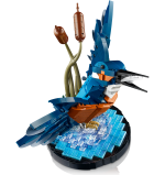 Kingfisher Bird - Image 3