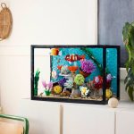 Tropical Aquarium - Image 11